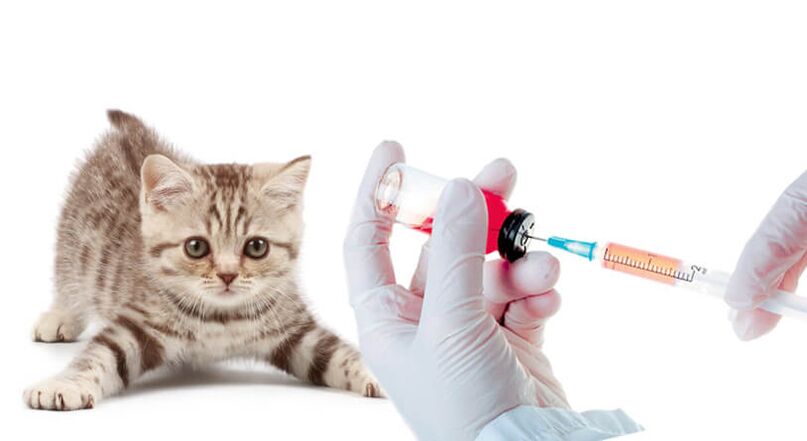 واکسیناسیون حیوانات و مردم در برابر کرم ها