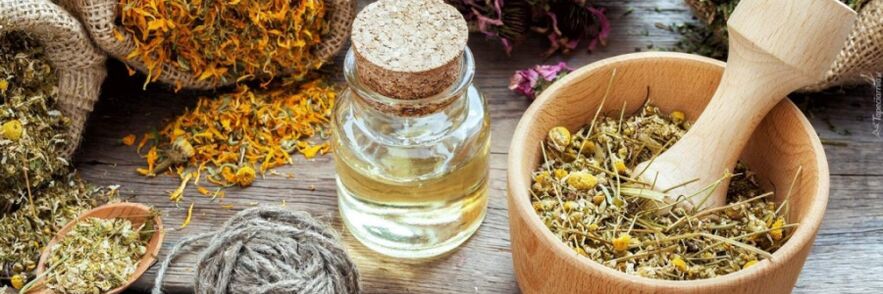 داروهای مردمی در برابر کرم ها